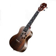 Đàn Aquila Populele thông minh Xiaomi