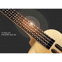 Đàn Aquila Populele thông minh Xiaomi